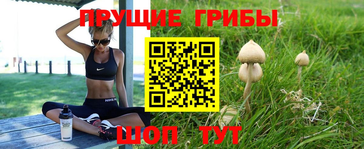 Галлюциногенные грибы MAGIC MUSHROOMS  Вход с VPN  Славянск-на-Кубани  Псилоцибиновые грибы мицелий 