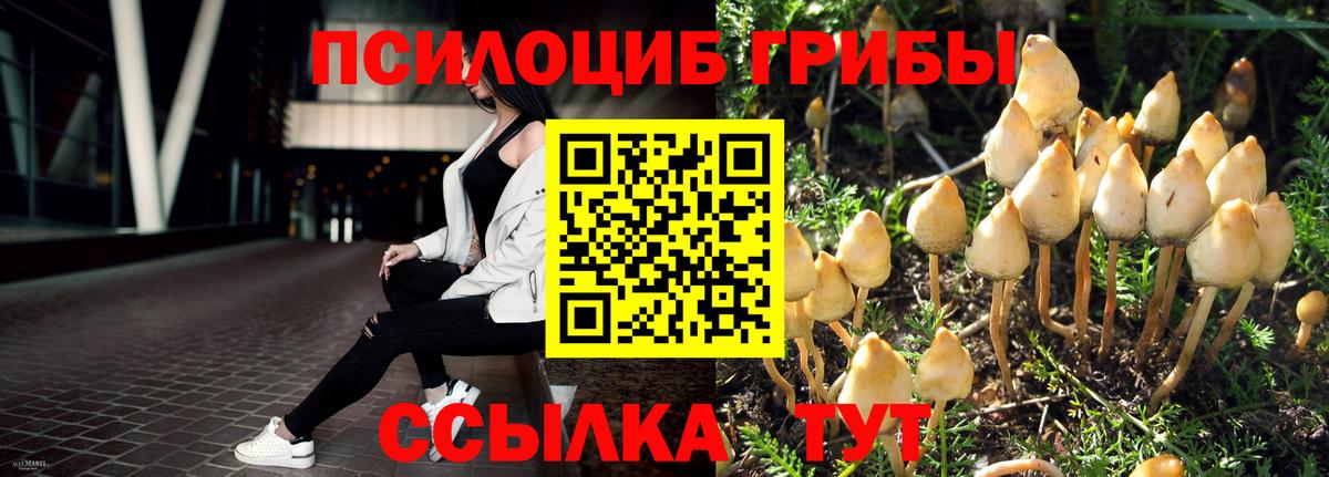 Галлюциногенные грибы прущие грибы Славянск-на-Кубани